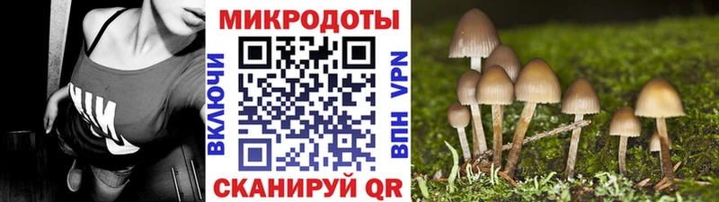 наркошоп  Татарск  Галлюциногенные грибы Magic Shrooms 